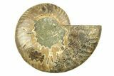 Cut & Polished Ammonite Fossil (Half) - Crystal Pockets #308113-1